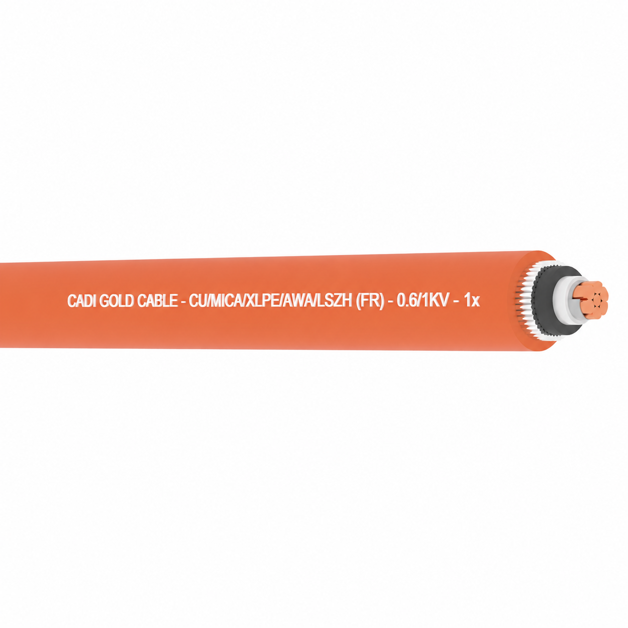 d8f6dda2-44a4-45bc-9dce-4532b3fba8b3